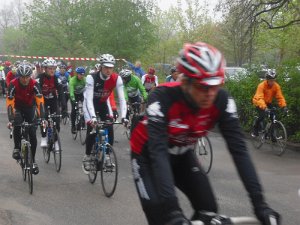 Buchholz 2010 025